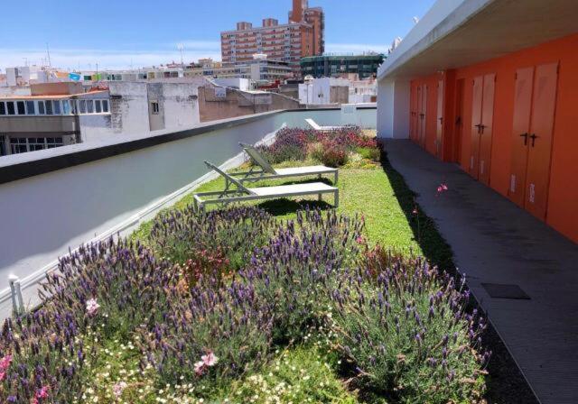 Zen Garden Apartment Las Palmas de Gran Canaria Bagian luar foto